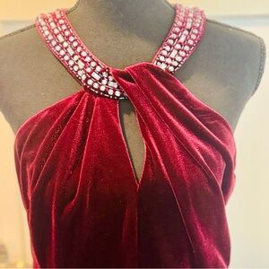 Alex Evenings Velvet Burgundy Embellished Halter Dress